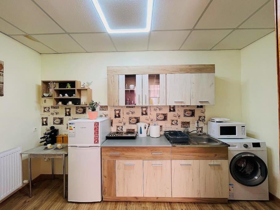 Lavender Luxury Apartment Oradea Dış mekan fotoğraf