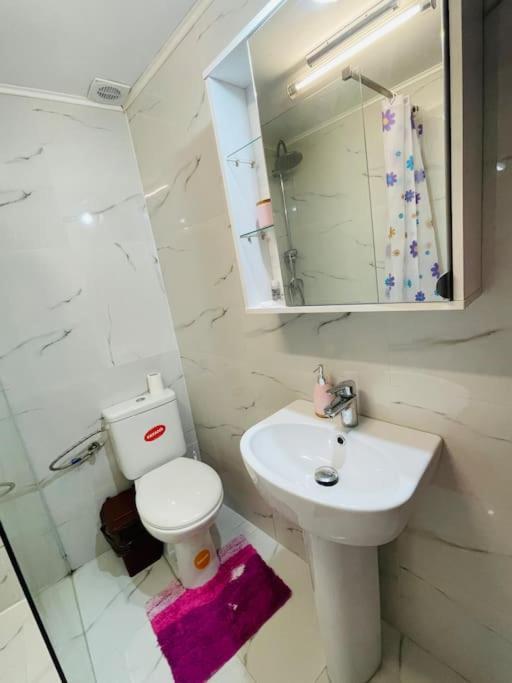 Lavender Luxury Apartment Oradea Dış mekan fotoğraf