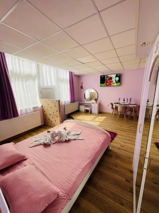 Lavender Luxury Apartment Oradea Dış mekan fotoğraf